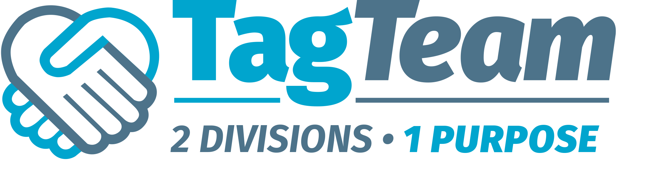 TagTeam — 2 Divisions, 1 Purpose