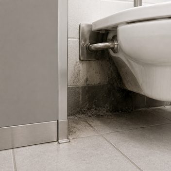 The base of a wall-hung restroom fixture beside a partition, where the front-facing surfaces are spotless — polished partition, bright porcelain, clean open floor — while the recess immediately behind and beneath the fixture is thick with layered grime, packed lint in the floor-wall corner and a furred grey film on the underside of the bowl and the back of its bracket, the boundary between the two falling exactly where a cloth can reach from standing height.